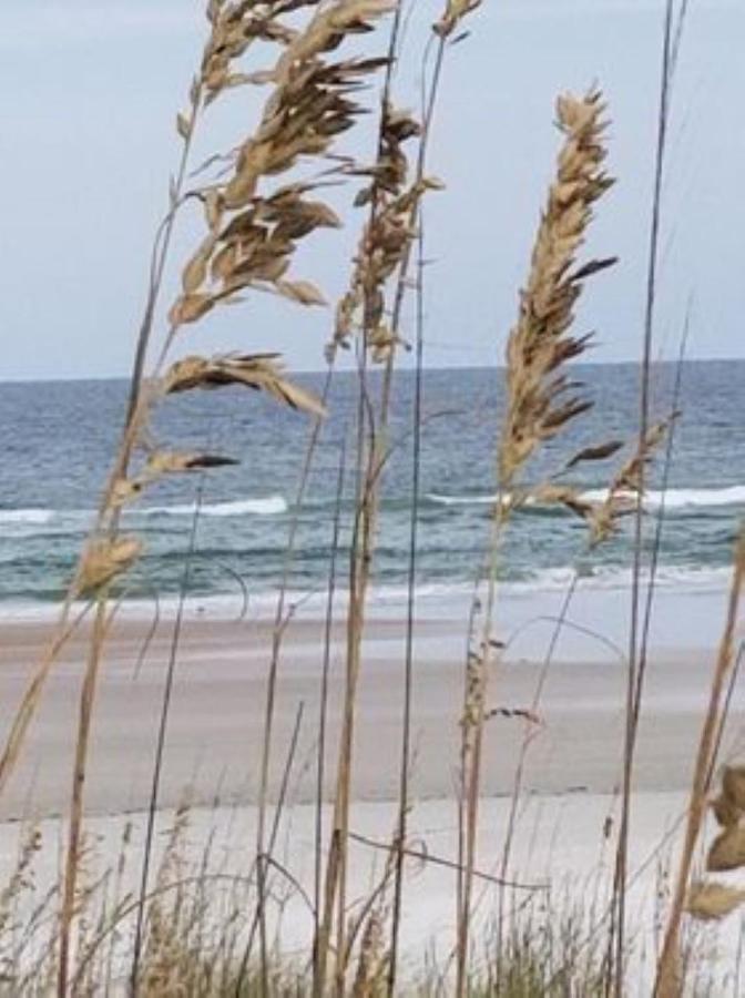 Island Life Aparthotel St. Augustine Beach Bagian luar foto